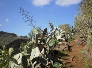Valle de Azuaje   