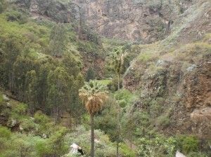 Valle de Azuaje   