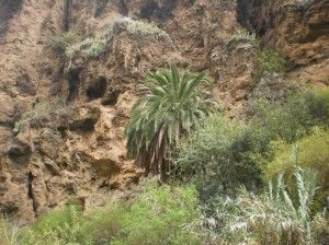 Valle de Azuaje   