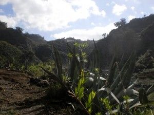 Valle de Azuaje   